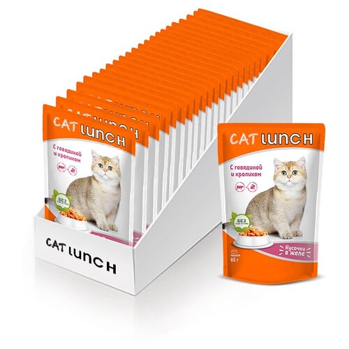      Cat Lunch      ,   85 (24 .  )