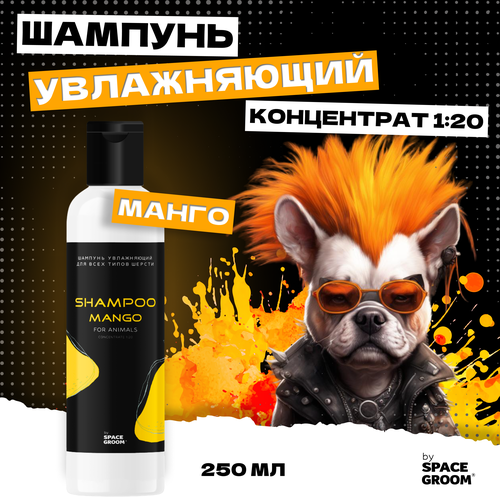 ���� ������� ��� ����� ����������� ����� ���������� ��������� � ��������������� ��������� ������, ��� ���� ����� ������, ���������� 1:20, 250 ��, ������ ������