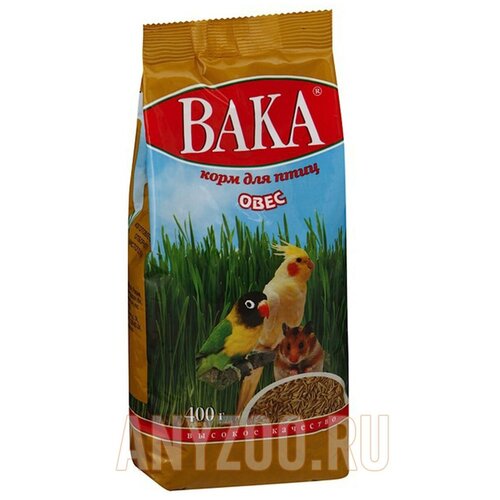 ���� ���� ���� �� ���� ��� ����, 400 �, ������ ������