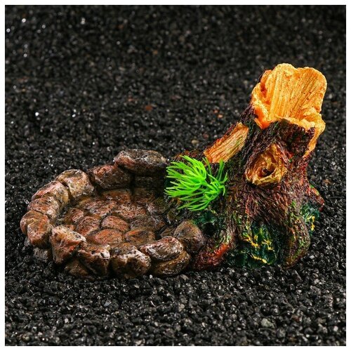 ���� �������� ��� �������� ����-���� 6926206 17.5 �� 8.5 �� 11.5 ��, ������ ������