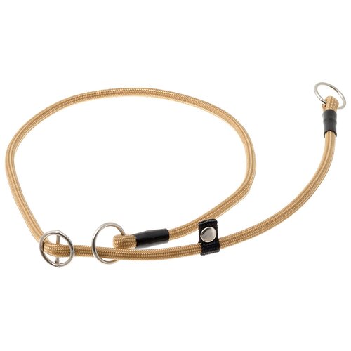 ���� �������� ���� ������� ZooOne (co ��������) � 2-� �������� ������� 6 ��, ����� �������� 70 ��, ������ ��� 70 ��, 1 ��., ������, ������ ������