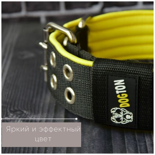 ���� ������� ��� ������ �� ������. ������ 5.5 ��. ������ 43-57 ��., ������ ������