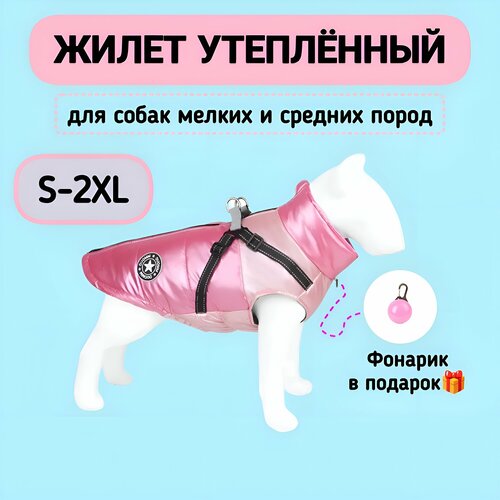 ���� ����� ��� ����� ������ ����� ���������� ������������, �������, M, ������ ������