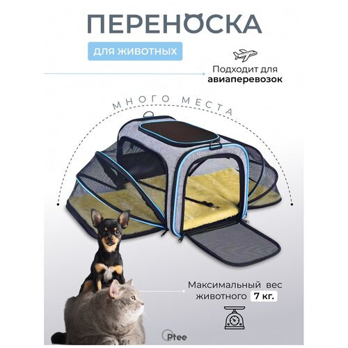 ���� ��������� ��� �������� ����� � �����, ������ ������