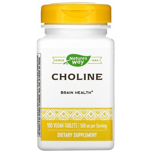  CHOLINE 500mg 100 tabs NW   -     , -  