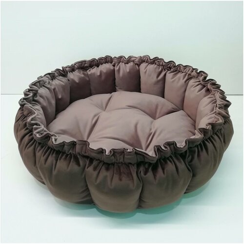 ���� ������� ��� ����� ����� ��� ����� ������� ��� ����� ����� ��� ����� ������ ����� ����������� ����������, ������ ������