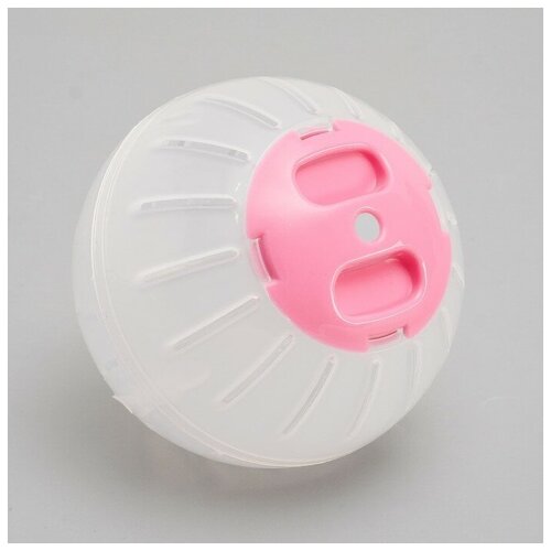 ���� ��� ��� ��������, 10 ��, �������, ������ ������