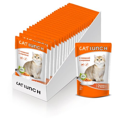      Cat Lunch      ,   85 (24 .  )