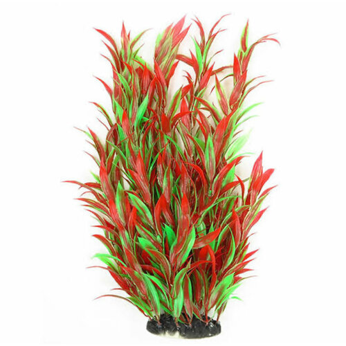 ���� ����������� �������� 40 ��, ������ ������