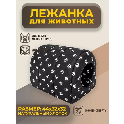 ���� ����� ������� ��� �����, ����, ����� �����, ����� � ��������, ������ ������