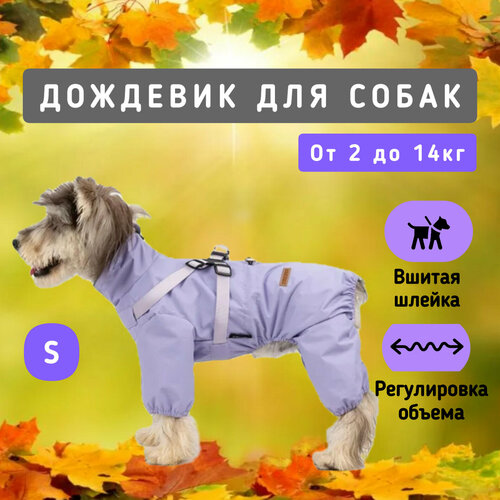 ���� �������� ��� �����, ���������, S, ������ ������