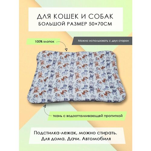 ���� ���������-����� ��� �����/����� 