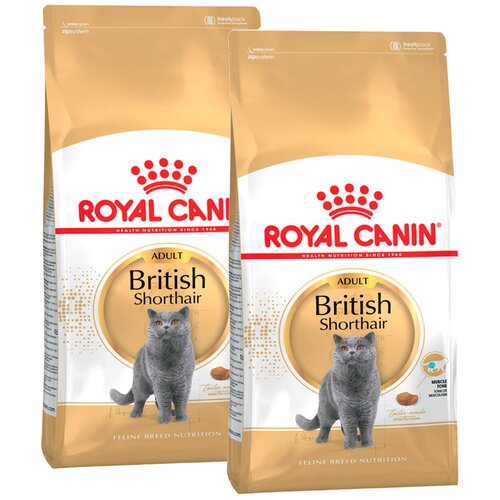  ROYAL CANIN BRITISH SHORTHAIR ADULT      (2 + 2 )   -     , -  