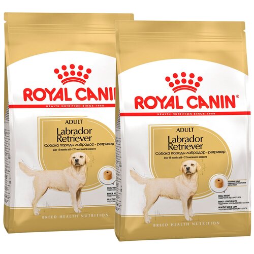    ROYAL CANIN LABRADOR RETRIEVER ADULT      (12 + 12 )   -     , -  