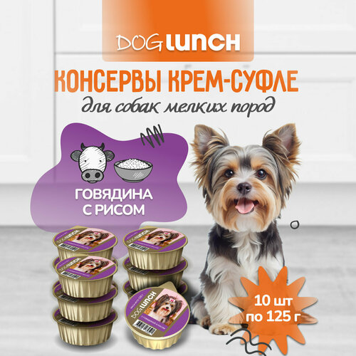    DOG LUNCH -      (10 x 125)   -     , -  