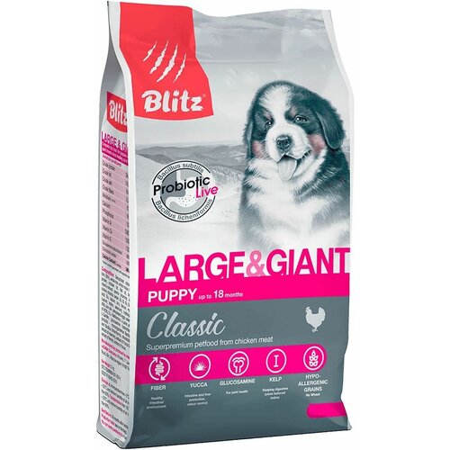  Blitz Puppy Large & Giant  Classic         2    -     , -,   