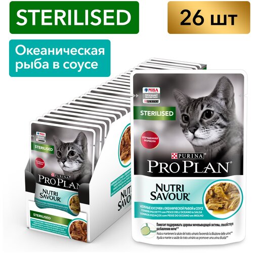      Pro Plan       85  26    -     , -  