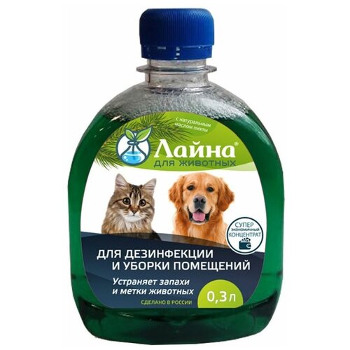 ���� ����� ��������������� �������� ��� ������ ���������, ��������� ������ � ����� ��������, �����, 30 ��, ������ ������