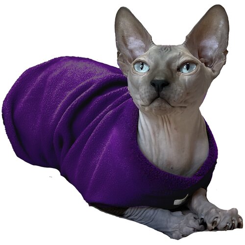 ���� �������� ����� ��� �����, ����������, �, ������ ������