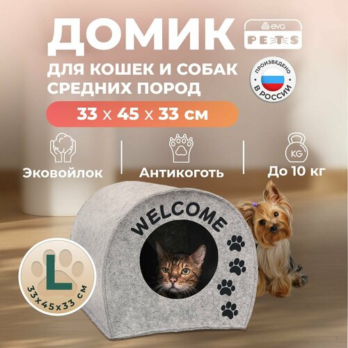 ���� ����� ��� ����� ����� ������ ������� ����� �������� Eva 