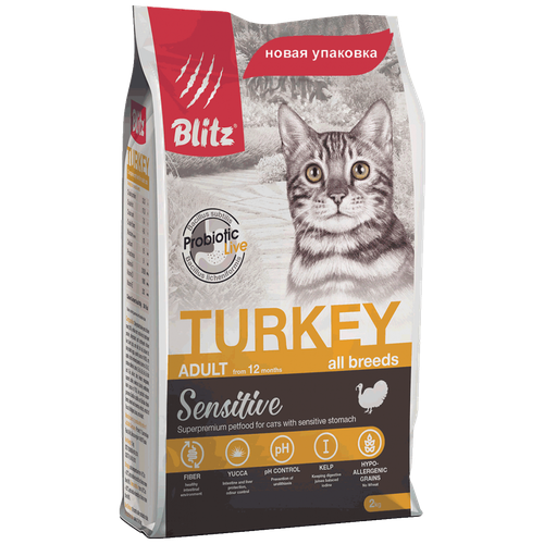  Blitz ()  /   ADULT CATS TURKEY 2    -     , -,   