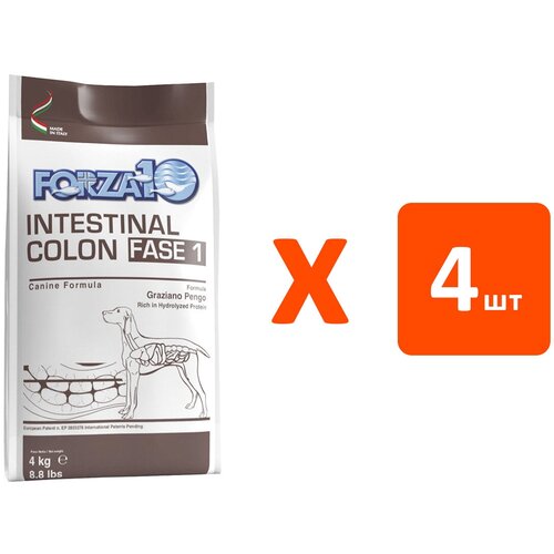  FORZA10 DOG INTESTINAL COLON FASE 1         (4   4 )   -     , -  