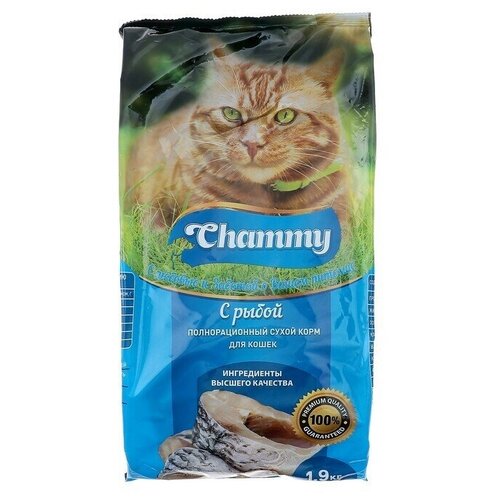    Chammy  , , 1,9 