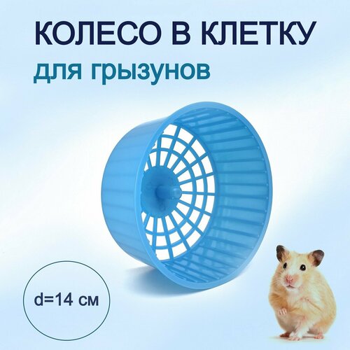 ���� ������ ��� ������, ��������, ����, �����, �������� ��������� ����������� � ������ ������� 14 �� �������, ������ ������