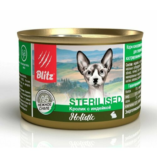       Blitz Holistic 200*6      -     , -  