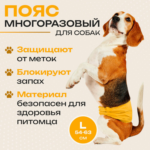 ���� ���� ��� ������� ������������ ������� �����, ��������, ���������� � ���� ������� �� �������� ��������, ������ ������