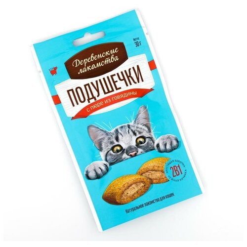 ���� ��������� � ���� 