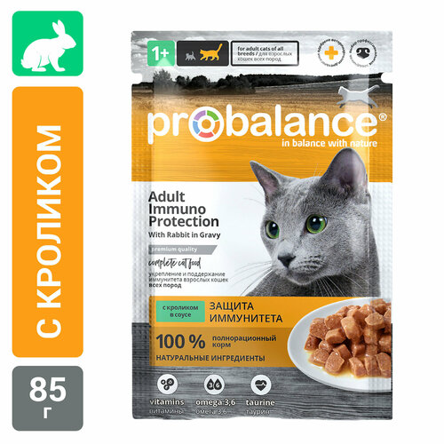      ProBalance    , , 85  28   -     , -  