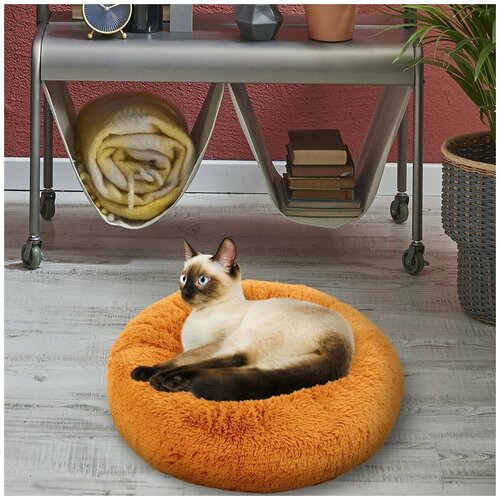 ���� �������� ������� d60 �� +-5 �� ��� ������� ����� � ����� ���� �������� ������� PNL60, ������ ������