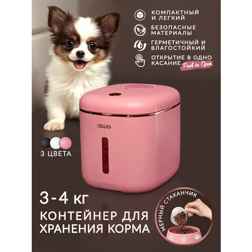 ���� ��������� ��� �������� ����� �������� � �������������� �������, ���� ���������� ��� ����� �����, �����, ������� �� 5 ��, ������ ���������, ������ ������