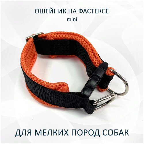 ���� ������� totemica ��� ����� � ������������ 