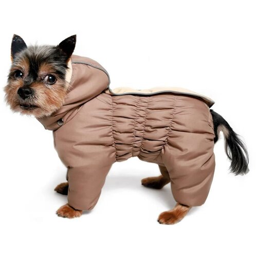 ���� ���������� 