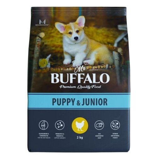   Mr.Buffalo Puppy&Junior 2  2  /