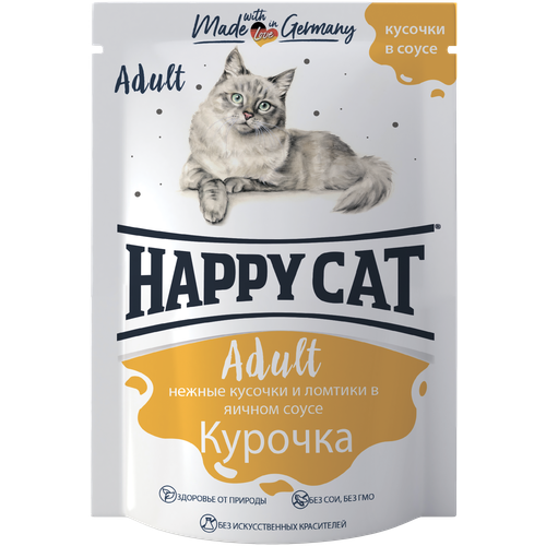      Happy Cat   24 .  100  (  )