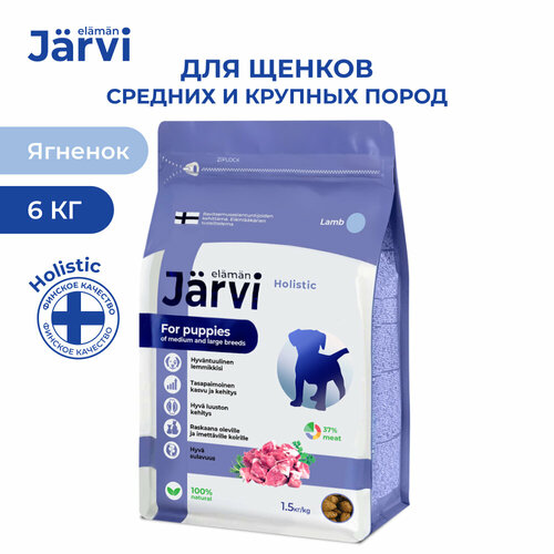  Jarvi          , 1,5 .  4    -     , -  