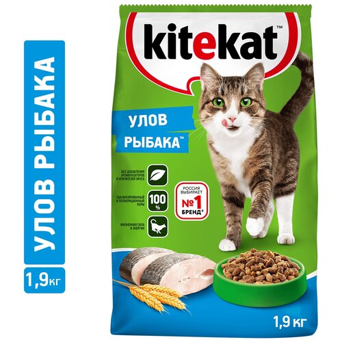      Kitekat   1900    -     , -  