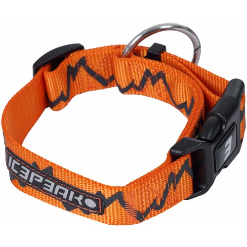   ICEPEAK PET GLOWS    , .  S   -     , -,   