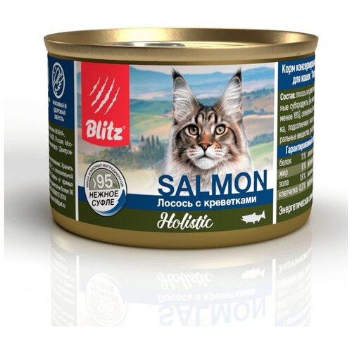   BLITZ Holistic Adult Cats      (  ) 200 , 6 .   -     , -  