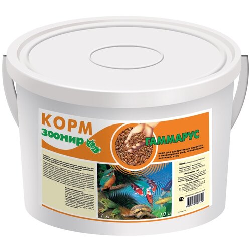 ���� ���� ��� ��� � �������� ������ 