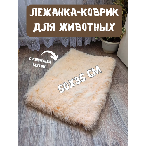 ���� �������-������ ��������� ��� ��������, ����� ��� �����, ��� �����, ������� 50�35 ��, ������ ������