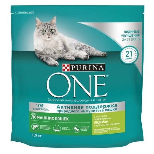      Purina ONE Housecat,    ,     , 1,5    -     , -,   