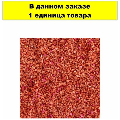 ���� ����� PRIME �����-������ 3-5�� 2,7��, ������ ������