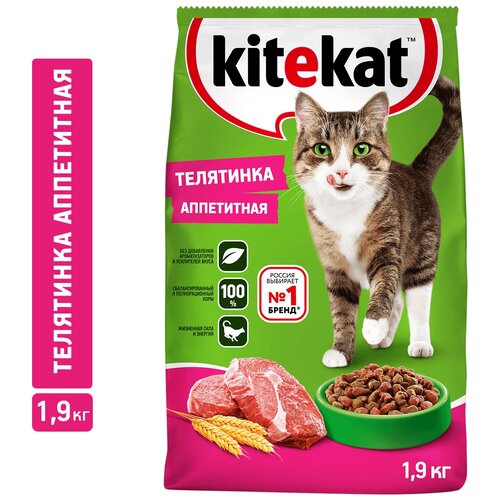      Kitekat  1900    -     , -  