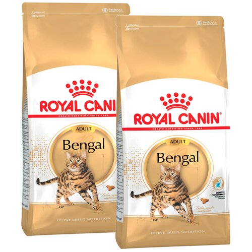      Royal Canin Bengal Adult       1   12  2 .  400    -     , -  