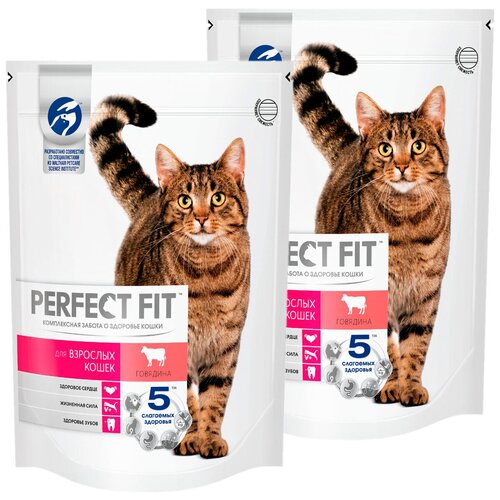  PERFECT FIT ADULT      (0,65 + 0,65 )   -     , -,   