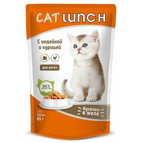  Cat Lunch      ,  (0.085 ) 24  (2 )   -     , -,   